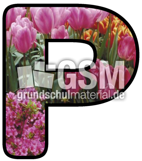 Dekobuchstaben-Tulpe_P.jpg